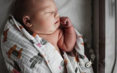 Téo // In-hospital Newborn Lifestyle // Coon Rapids, Minnesota